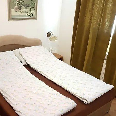 Luja Pastera Sarajevo